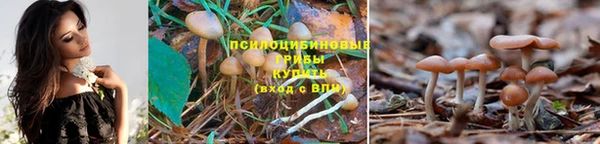 круглые Абдулино