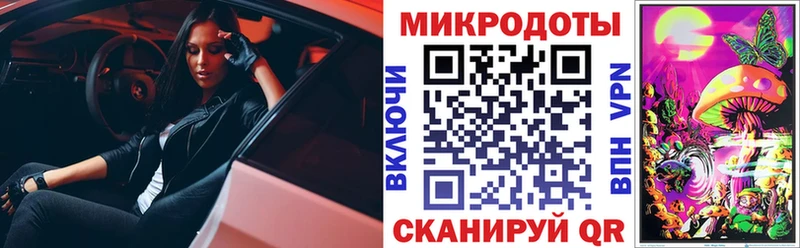 купить наркоту  Александровск-Сахалинский  Галлюциногенные грибы мухоморы 